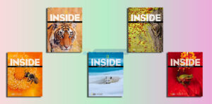Download Ebook Inside National Geographic (4 Levels) Pdf Audio full